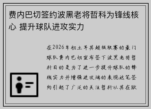 费内巴切签约波黑老将哲科为锋线核心 提升球队进攻实力